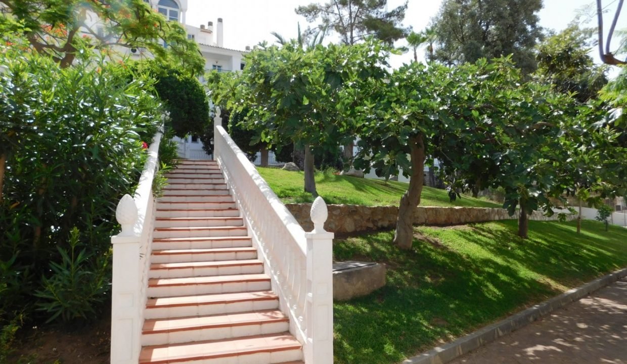 foto11