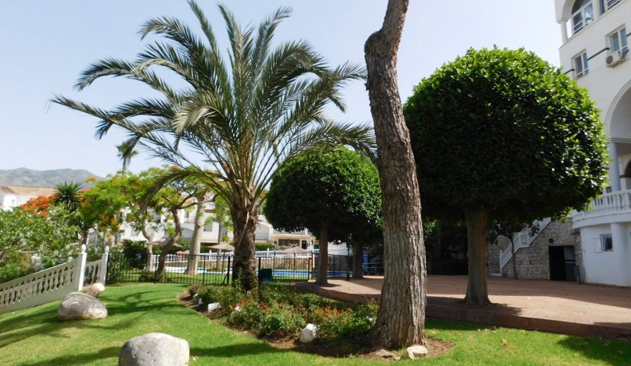 foto7
