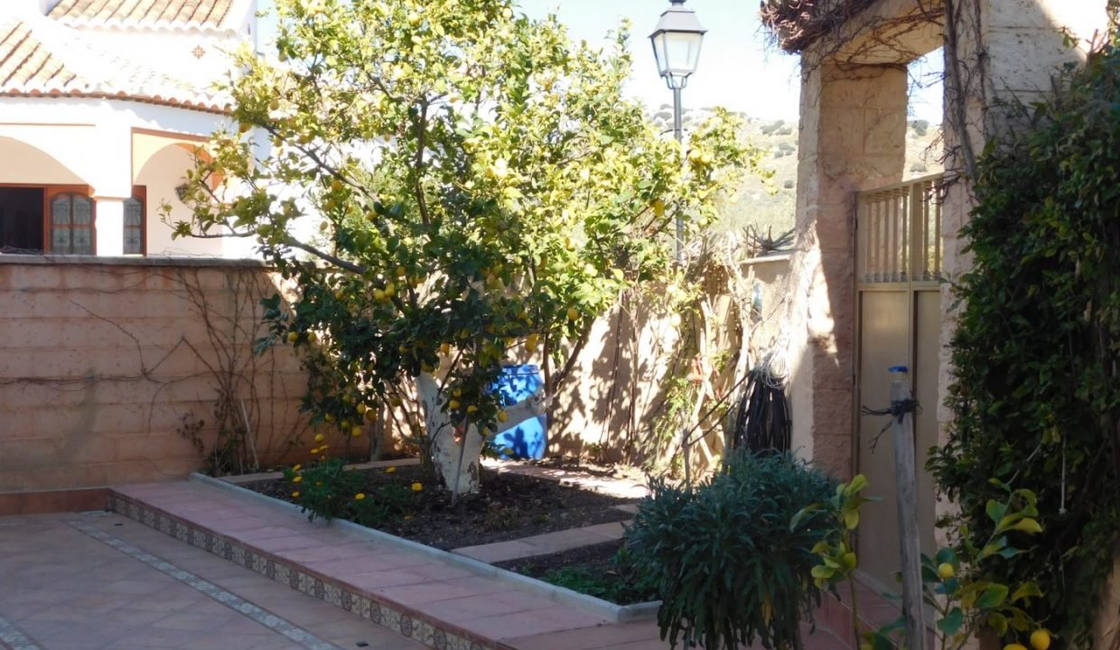 foto11
