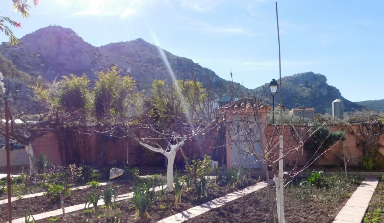 foto12