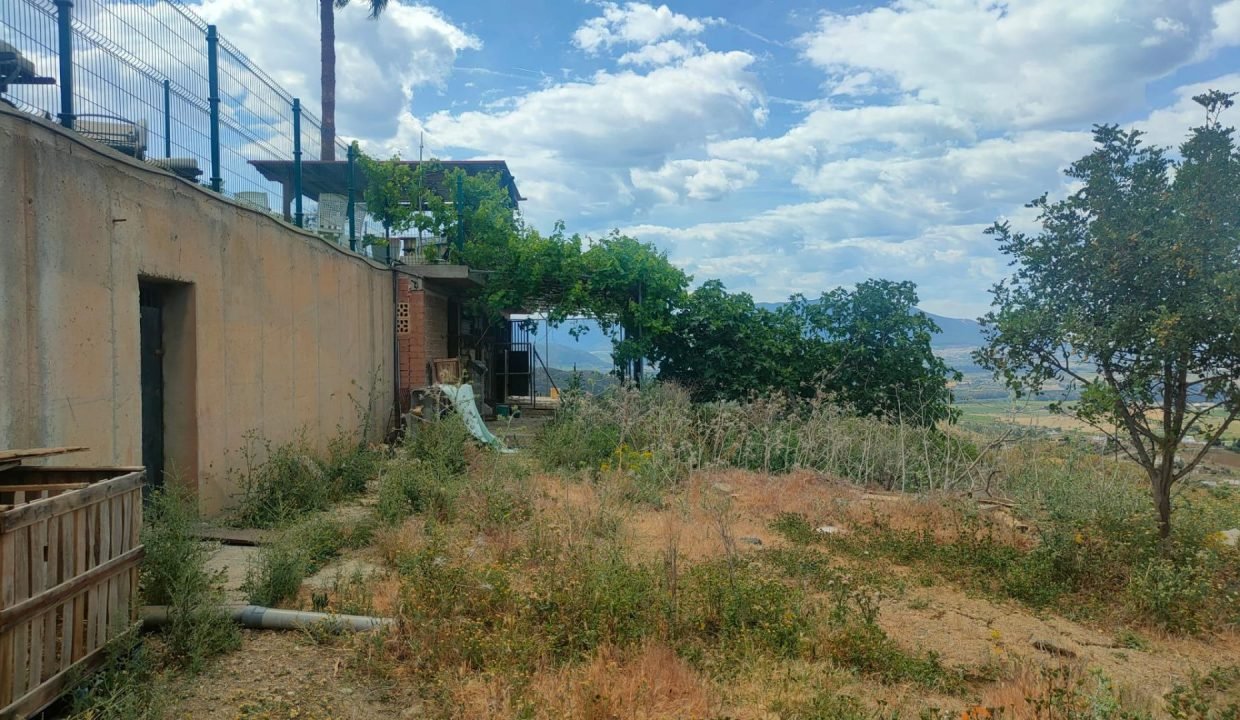foto31